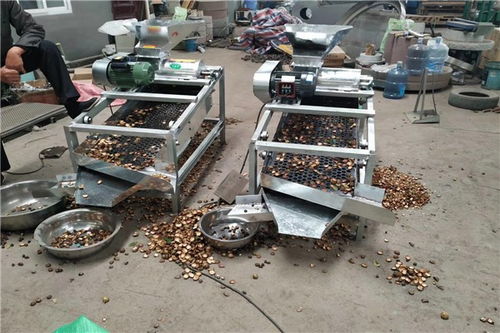 昌黎茶籽去皮機(jī)價(jià)格及設(shè)備銷(xiāo)售指南