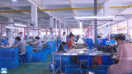 劉子恒赴縣經(jīng)濟(jì)開發(fā)區(qū)調(diào)研 聚焦企業(yè)項(xiàng)目建設(shè)與設(shè)備銷售，力促高質(zhì)量發(fā)展